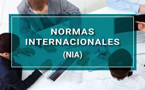 Normas Internacionales De Auditoría Nia Software De Auditorias