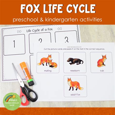 Fox Life Cycle Activity Set Pinay Homeschooler Shop