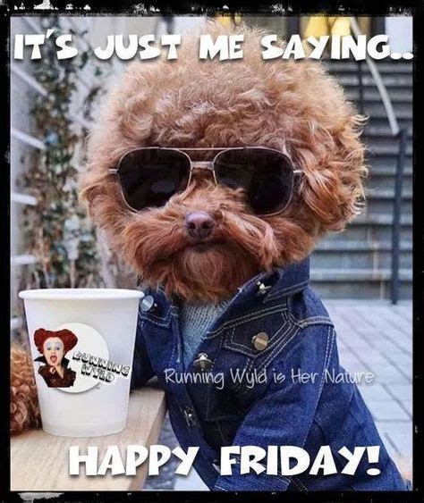 Its Just Me Saying Happy Friday Friday Happy Friday T Good Morning