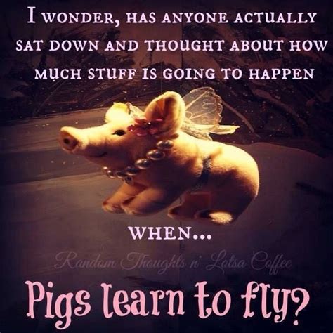Went right past the adults and censors. Flying pigs🐷 | Pigs quote, Thought pictures, Funny animals
