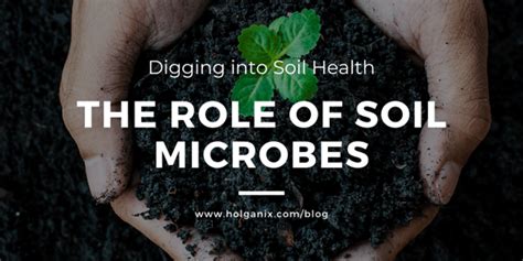 Digging Into Soil Health The Role Of Soil Microbes Video