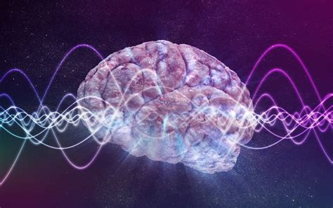 Do Brain Waves Conduct Neural Activity Like A Symphony Scientific