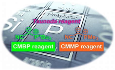 Tsunoda (角田) is a support character of the netflix original series aggretsuko. Tsunoda试剂 | 化学空间 Chem-Station