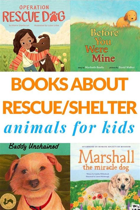 Helping Kids Understand About Shelter And Rescue Animals In 2020