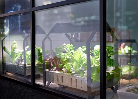Ikea Has Launched Its New Indoor Gardening Kit Into Stores Bringing