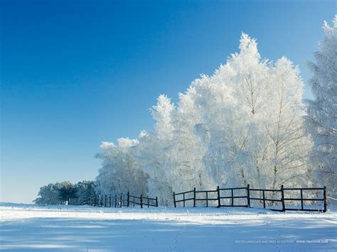 Imagini Si Peisaje De Iarna Pentru Desktop Colinde De