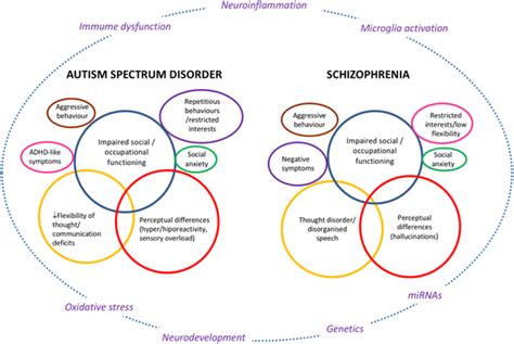 Schizophrenia And Autism Share Common Traits
