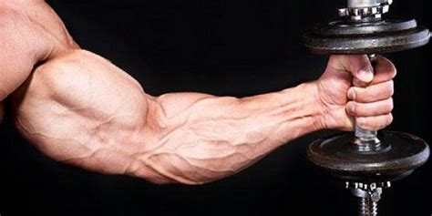 The Best Forearm Dumbbell Workout For Mass Dumbbell Workout Forearm