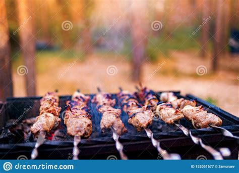 Kebab Asado A La Parrilla Que Cocina En El Pincho Del Metal Carne Asada