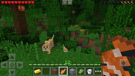 Minecraft Pocket Edition Android App Download Chip