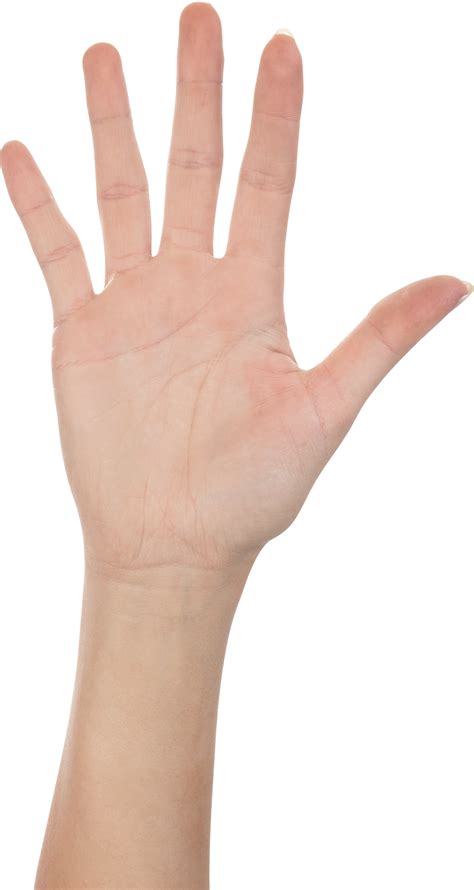 Hand Png File Explore And Download More Than Million Free Png