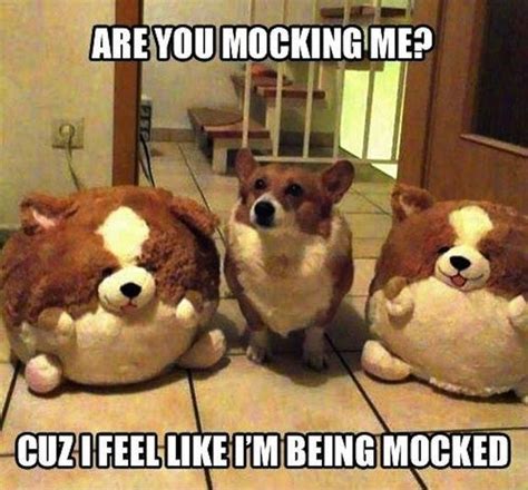 Are You Mocking Me Cuz I Feel Like Im Being Mocked Picture Quote 1