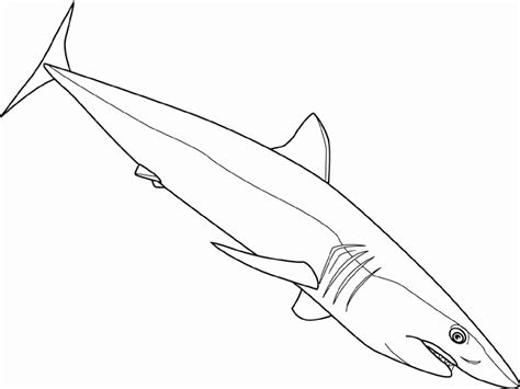 They are very diverse and so you will find some that live in warm waters while others live in colder temperatures. Shark Coloring Pages - Coloring Kids - Coloring Kids