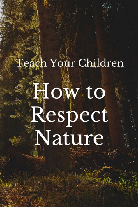 Teach Your Children How To Respect Nature Adore Them Parenting