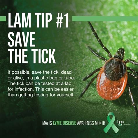 5 Tips For Lyme Disease Awareness Month Tip 1 Igenex