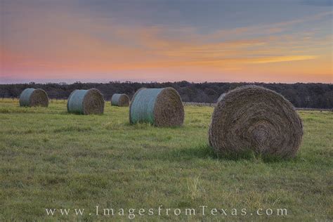 Texas Hay Bales At Sunrise 1 Texas Hill Country Images From Texas