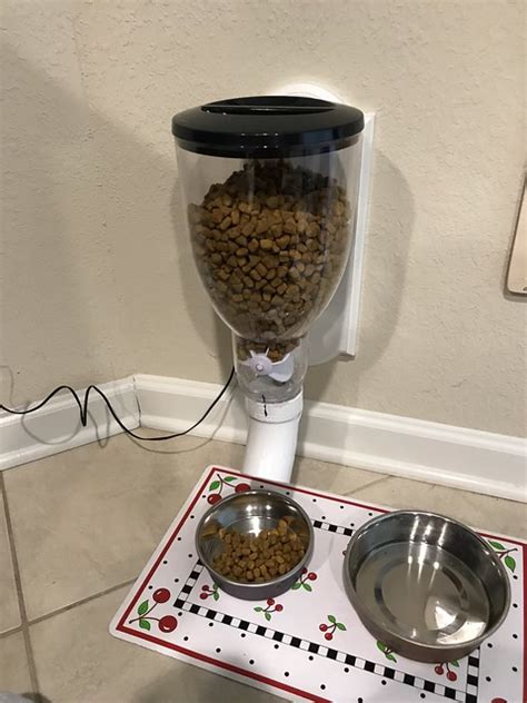 Automatic Dog Feeder With Timer Diy Iot Pet Feeder Using The Blynk