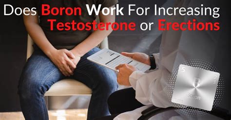 Does Boron Work For Increasing Testosterone Or Erections Dr Sam Robbins