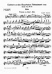 Cadenzas to Mozart Flute Concertos (Tillmetz, Rudolf) - IMSLP: Free ...