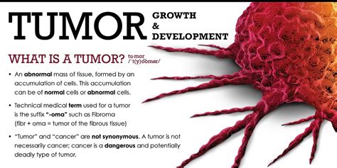 Tumor Growth And Development Infographics
