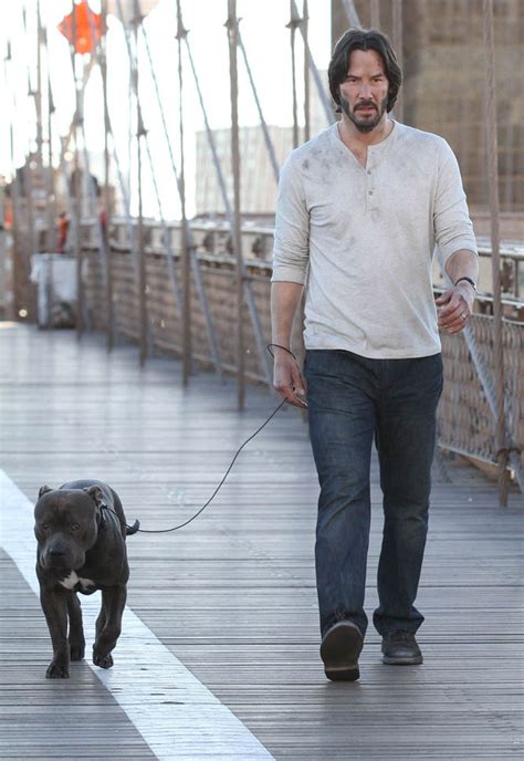 Maybe you would like to learn more about one of these? Keanu Reeves not sad and with a dog on the set of John ...