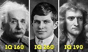5 Fakta William James Sidis, Ahli Matematika dengan IQ 260