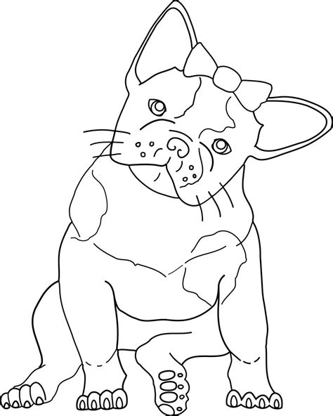 How to draw a bulldog in this video. American Bulldog Drawing at GetDrawings | Free download