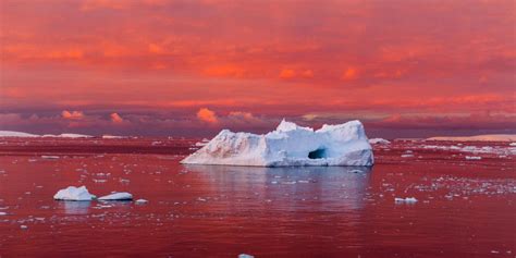 Stunning Iceberg Cover Photo By Camille Seaman News Purchase