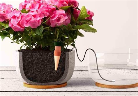 The Best Automatic Plant Waterers For Your Container Garden Bob Vila