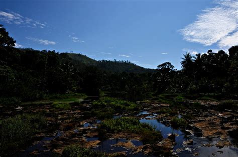 Kerala stretches for about 360 miles along the malabar coast, varying in width from roughly 20 to 75 miles. Story of A Dying River-II: Periyar River of Kerala, India.… | Flickr