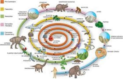 Evolución De La Tierra Y De La Vida Timeline Timetoast Timelines