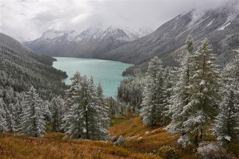 915 Winter Snowy Landscape Wild Nature Russia Taiga Photos Free