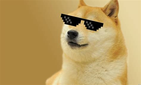 Pin Em Doge