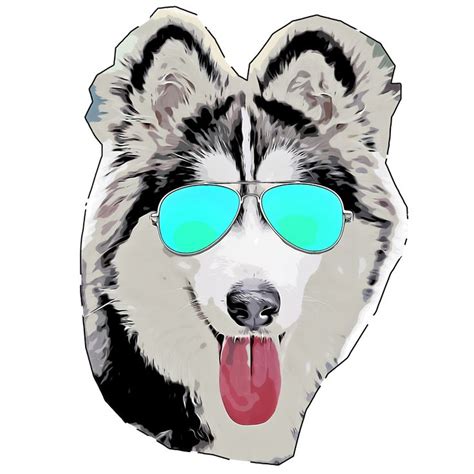 Husky Wearing Sunglasses And Smiling Dog Wear A Husky Husky
