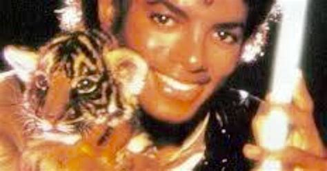 Michael Jackson With Baby Tiger Michael Jackson Pinterest Animals