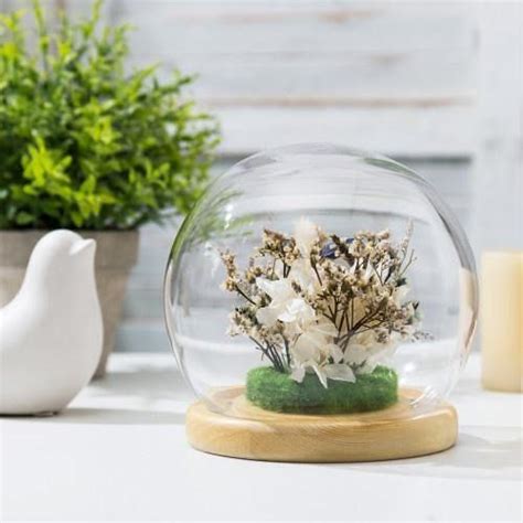 With A Round Globe Design This Display Glass Terrarium Offers An Eye Catching Take On The