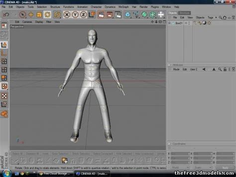 Rigged Male Character Free 3d Model C4d Fbx Free3d