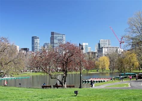 Bostons Public Garden A Gorgeous City Park With Lagoon