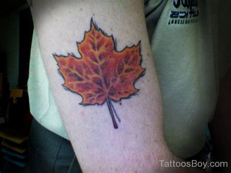 Canada Maple Leaf Tattoo On Bicep Tattoo Designs Tattoo Pictures