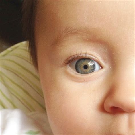 Может ли у ребенка поменяться. Глаза новорожденного. Цвет глаз новорожденного ребенка. Зеленый цвет глаз у новорожденных. У ребенка меняется цвет глаз.