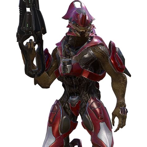 Sangheili Ranger Comandante Halopedia Fandom Powered By Wikia