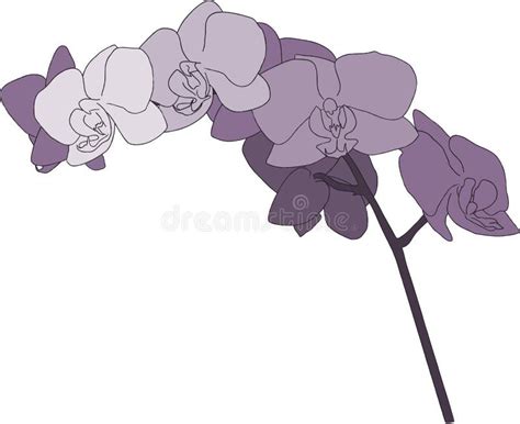 Purple Orchid Stem Illustration Stock Vector Illustration Of Purple Clip 25035392