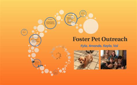 Fostering a shelter pet in need is of the most rewarding ways to volunteer in las vegas. Foster Pet Outreach by Kayla Steffen on Prezi