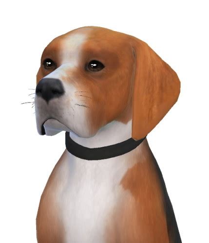 Sims 4 Dog Cc