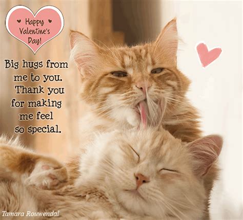 Once in a while, something will make me stop and appreciate all the simple and beautiful things in my life. Thank You Valentine Cat Kisses. Free Thank You eCards, Greeting Cards | 123 Greetings