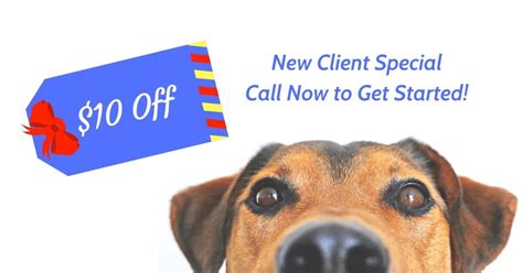 You can be confident your dog is in. Specials - Aussie Pet Mobile Chino Hills