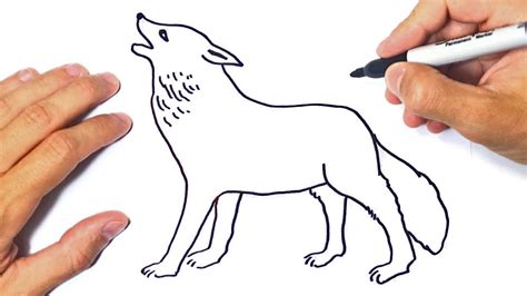How To Draw A Wolf Step By Step Wolf Drawing Lesson