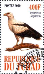 Stamp Gypohierax Angolensis Chad Illegal Stamps Birds 2010 Col TD