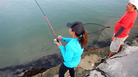 Pesca De Jureles En El Puerto De Abrigo De Telchac Yucatán Youtube