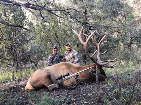 New Mexico Elk Hunting Trophy New Mexico Elk Hunts